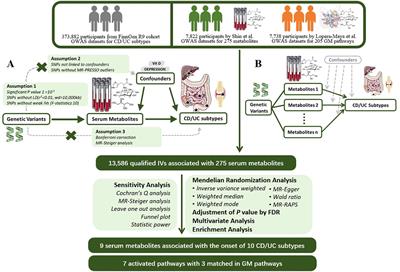 From serum metabolites to the gut: revealing metabolic clues to susceptibility to subtypes of Crohn’s disease and ulcerative colitis